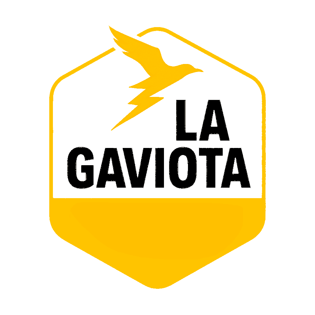 Logo Transportes La Gaviota